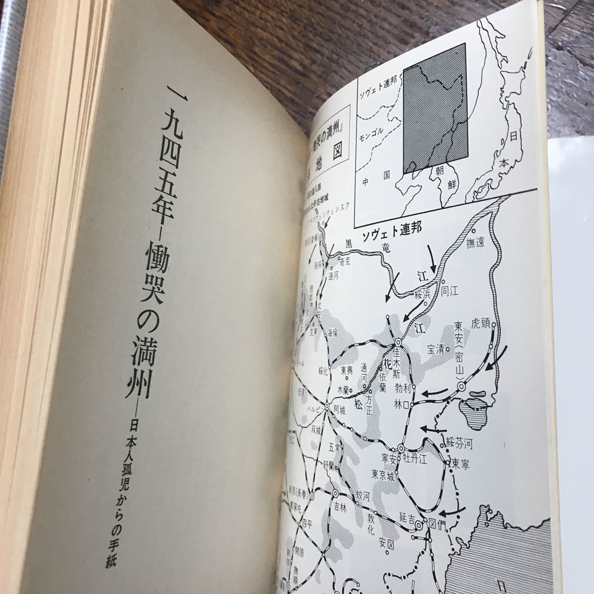 一九四五年―慟哭の満州―日本人孤児からの手紙 (シリーズ・戦争の証言)(1978年初版 古書） 橋本 カツ子（訳・編）太平出版社　[n11] _画像3