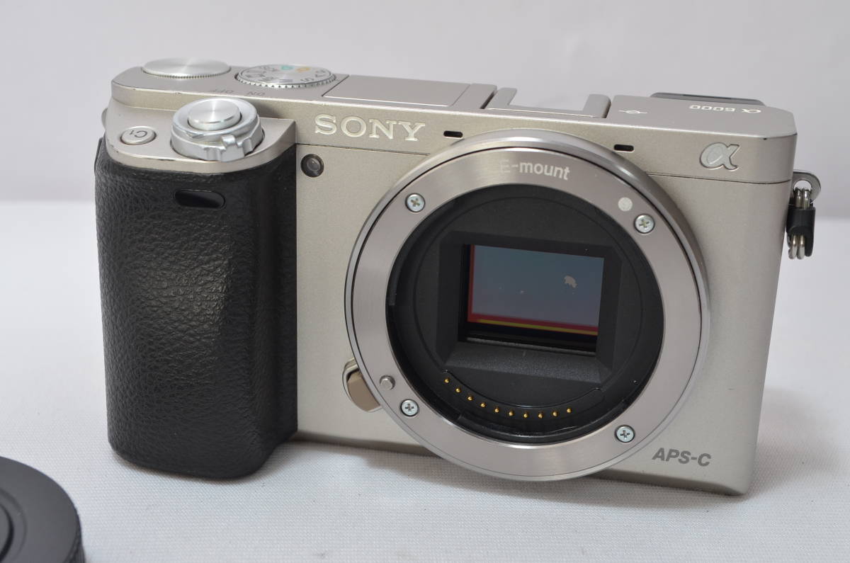 配送員設置 SONY ILCE-6000 S ソニー ミラーレスデジタル一眼a6000 veme.fi