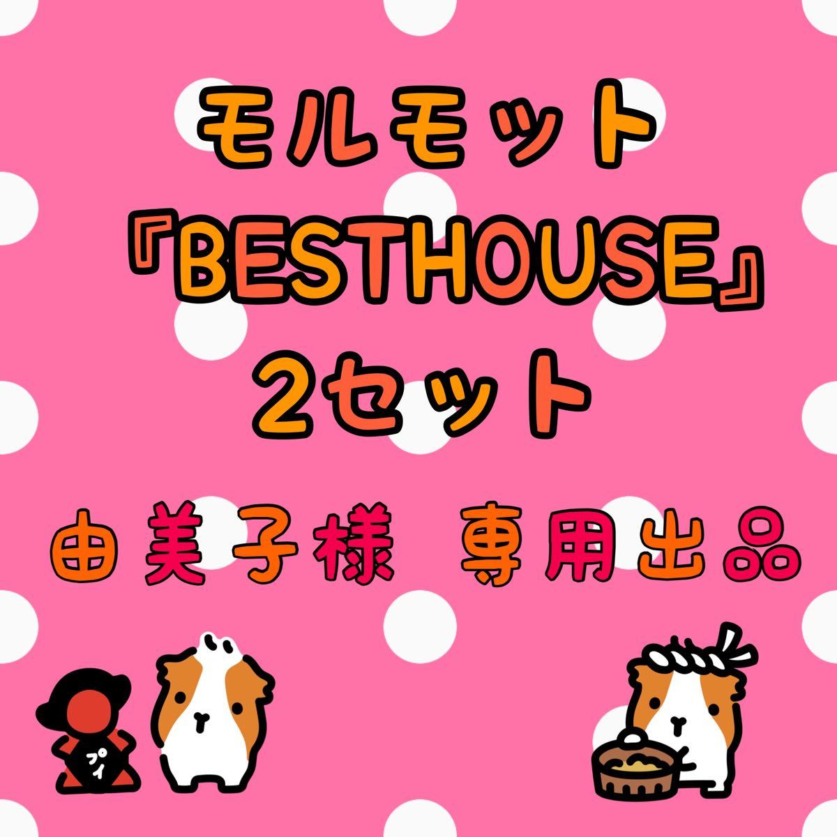 モルモットハウス「BESTHOUSE」（¥10,000） dofeli.com