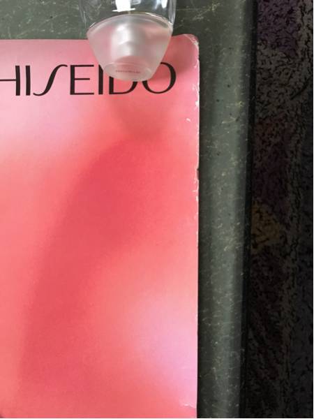 中山美穂shiseido資生堂ロゼカラーリップ告知ポスター 特大 80年代90年代アイドル 代購幫