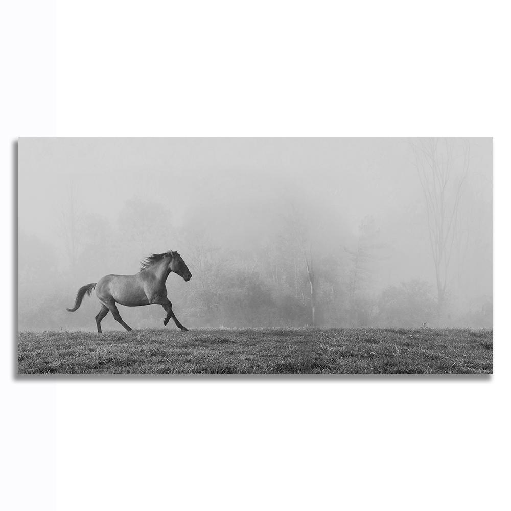 馬 ポスター ボード パネル フレーム 75x50cm 動物 白馬 自然 競馬 海外 インテリア グッズ 絵 雑貨 写真 フォト アート 大判 大 2