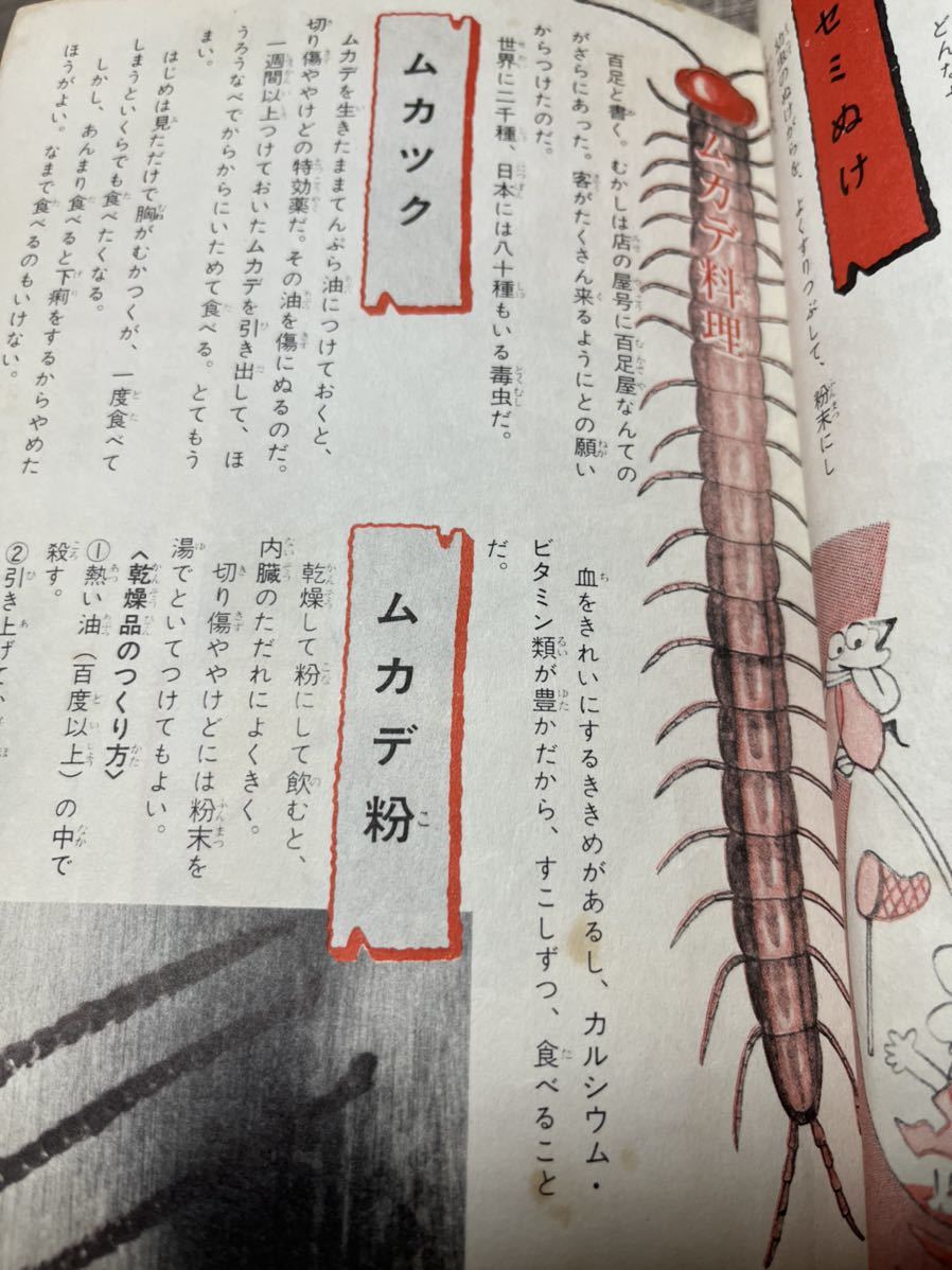 飢餓食入門 ドラゴンブックス3 寺ノ門栄 レア稀少 昭和 昭和49年 飢餓食入門 ドラゴンブックス3 寺ノ門栄 レア稀少 昭和 昭和49年