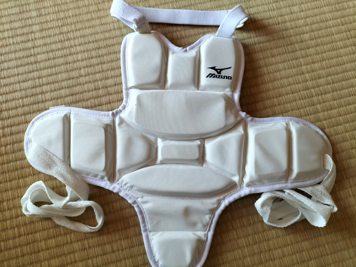 空手防具 子供用 一式|Yahoo!フリマ(旧PayPayフリマ) 空手防具 子供用 一式|Yahoo!フリマ(旧PayPayフリマ)