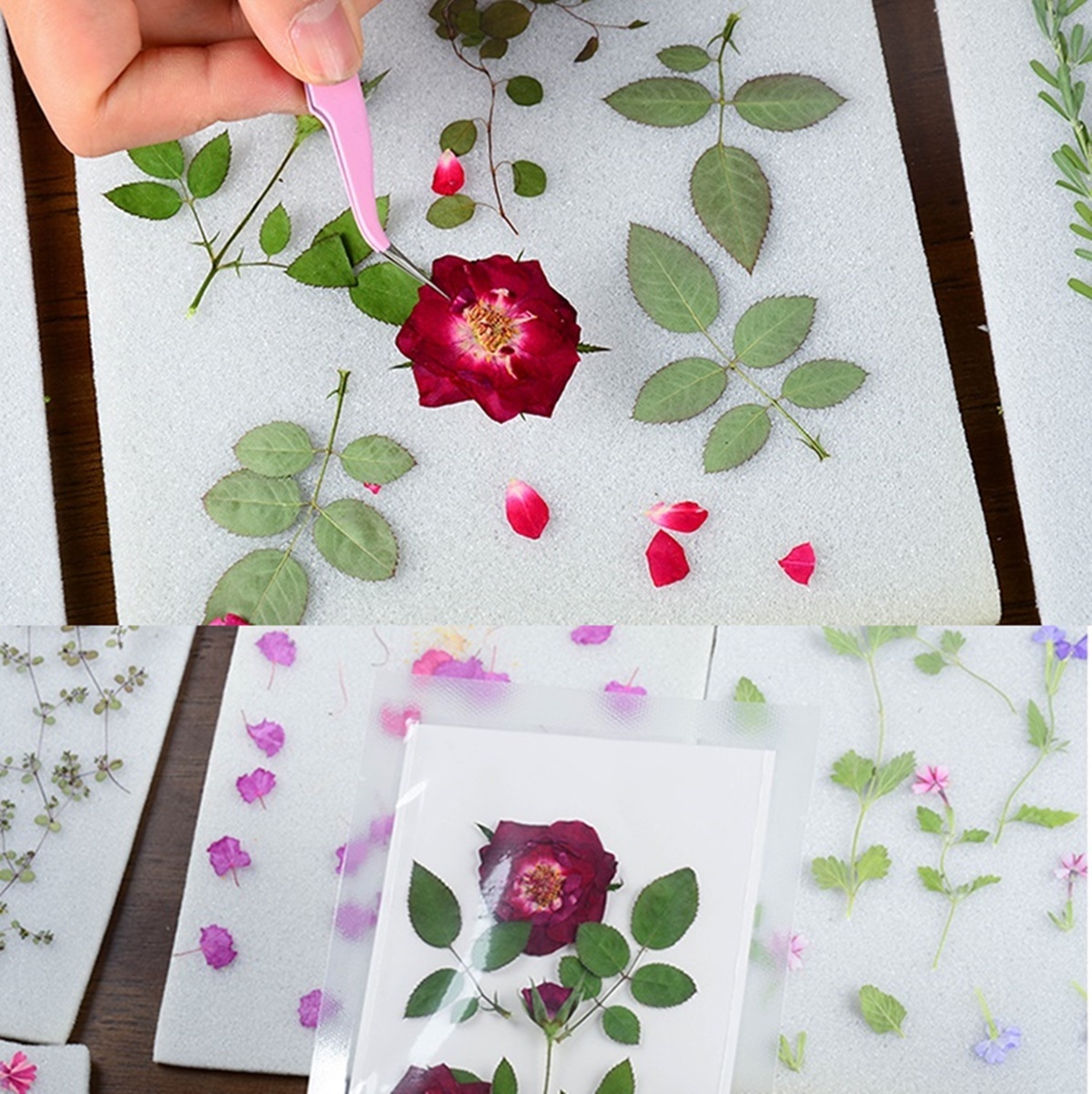 フラワープレスキット 押し花キット しおり 押花プレス機 押し花シート 押し花本 押し花 売買されたオークション情報 Yahooの商品情報をアーカイブ公開 オークファン Aucfan Com フラワープレスキット 押し花キット しおり 押花プレス機 押し花シート 押し花本 押し花 売買されたオークション情報 Yahooの商品情報をアーカイブ公開 オークファン Aucfan Com