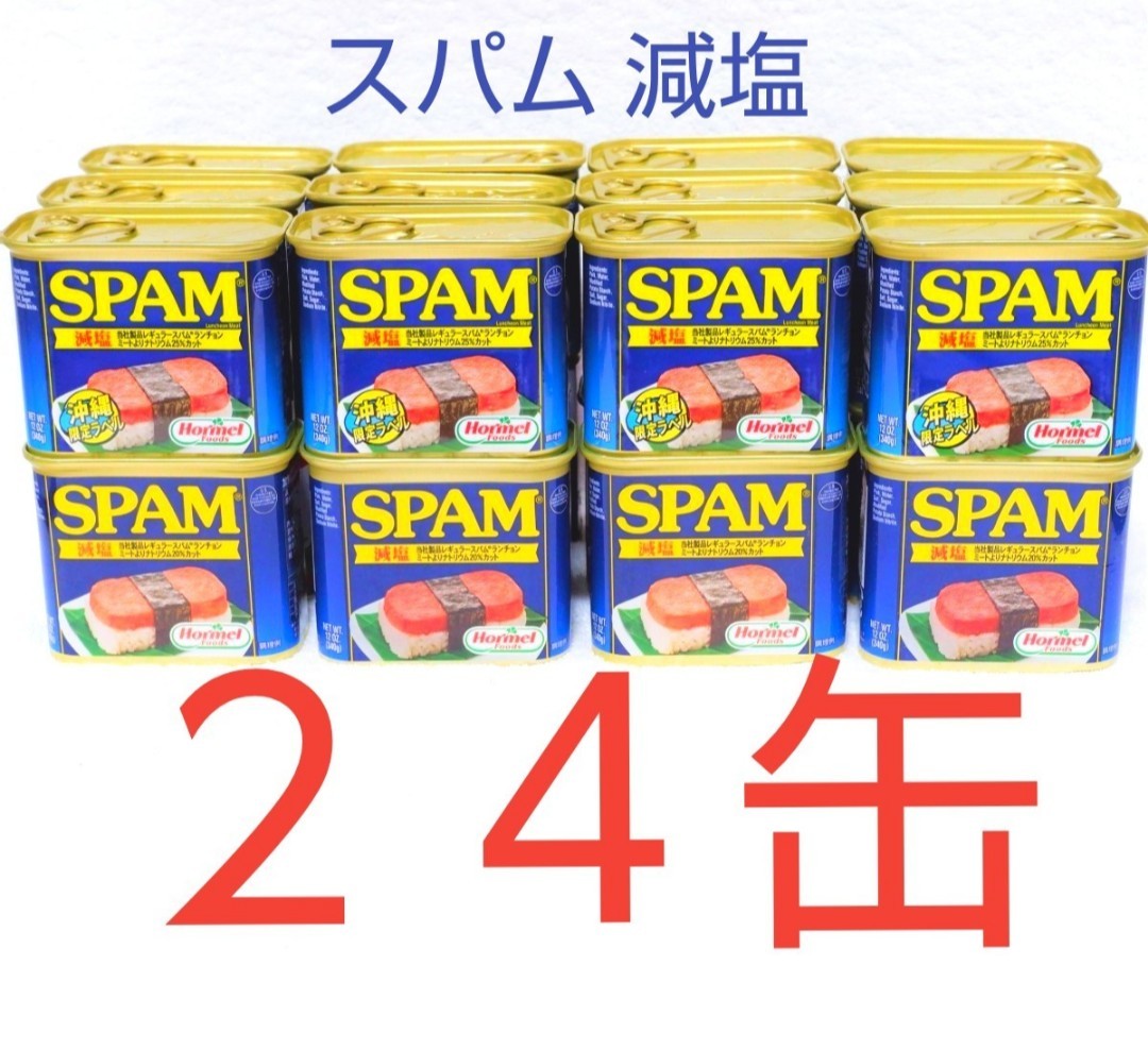 沖縄応援 スパム 減塩24缶(1缶390円)340g ポークランチョンミート