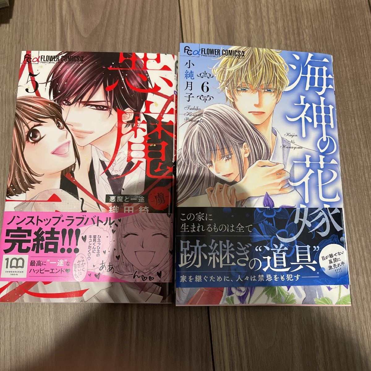 受注生産モデル 海神の花嫁 悪魔と一途 生涯保証 本 雑誌 コミック コミック アニメ Ekumudini Com