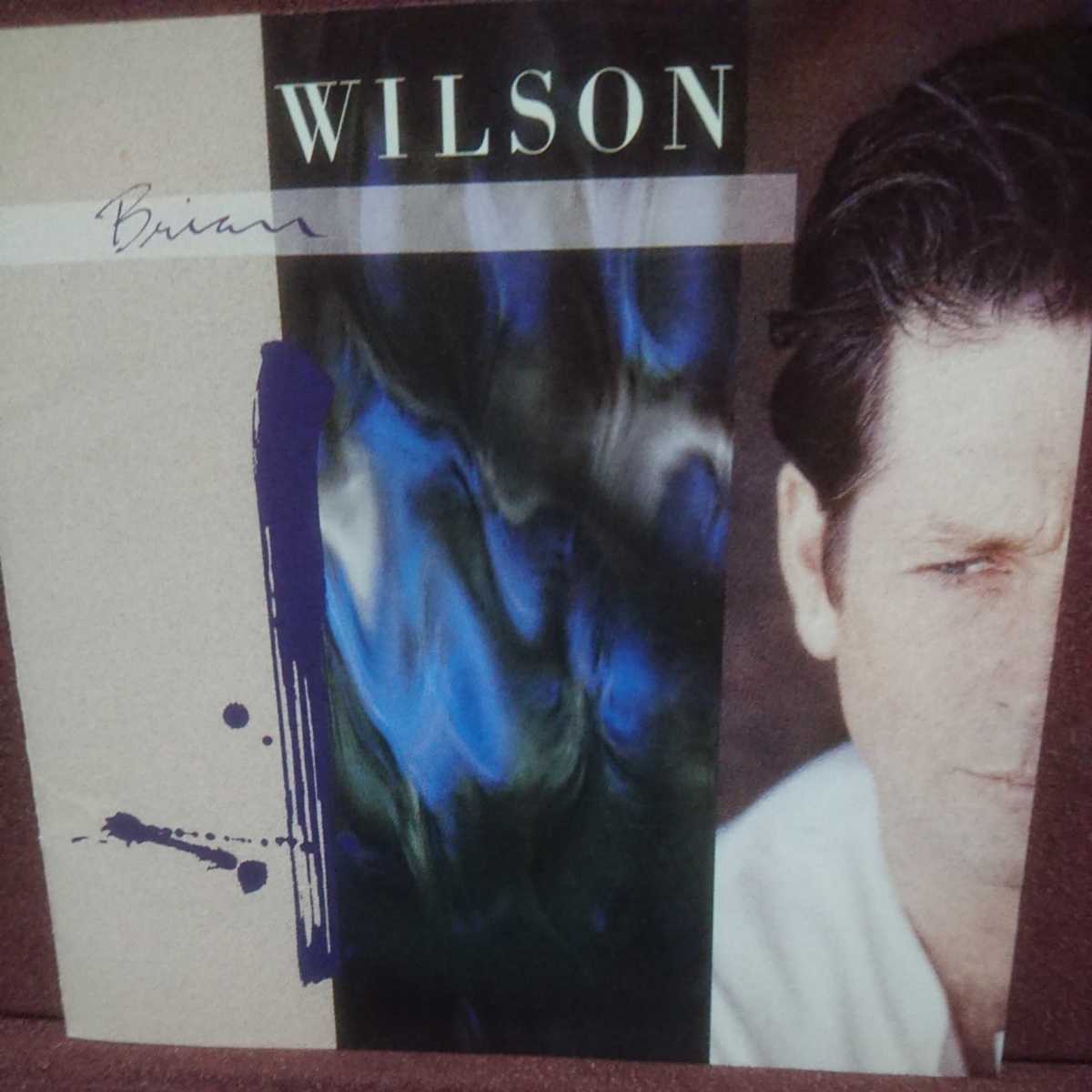 ■J■ ブライアン ウィルソン(ビーチ ボーイズ) のアルバム「BRIAN WILSON」_画像1