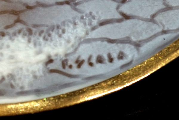 D2561【フランコ・スカラ】GINZA TANAKA シェルカメオ 最高級18金無垢ブローチ,トップ 重さ36.8g 幅81.8×80.9mm_画像5