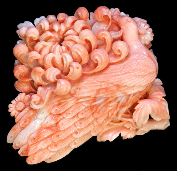 E2522【五島彫り】菊と孔雀 天然珊瑚74.6×30.6mm ルース 新品