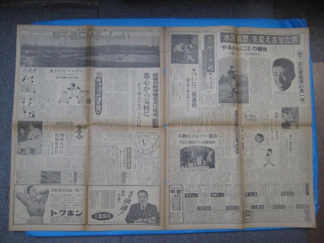 う1447スポーツタイムズ 1962年2.22 長嶋茂雄 力道山 伊東ゆかり  東京タイムズ社 4頁の画像5
