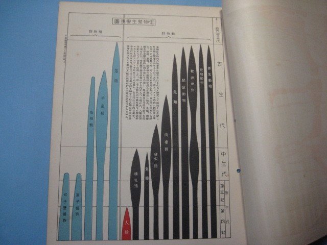 hc2284図解教育　昭和8年12月号　模式地殻断面図　生物発生変遷図　本邦発電力府県別比較　西南日本太平洋沿岸の水産　地図_画像5