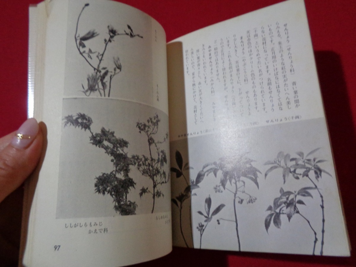 m#* color books four season. .... material for flower arrangement Showa era 42 year 12. issue /I27