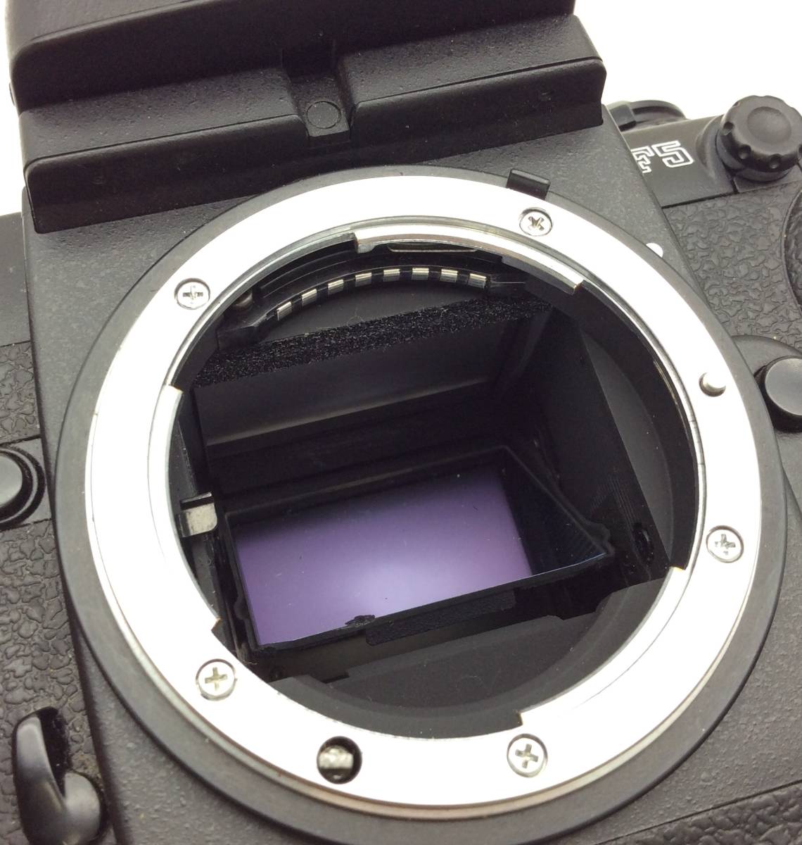 EE35○〈動作/精度未確認〉Nikon ニコン F5 ボディ フィルム EE35○〈動作/精度未確認〉Nikon ニコン F5 ボディ フィルム