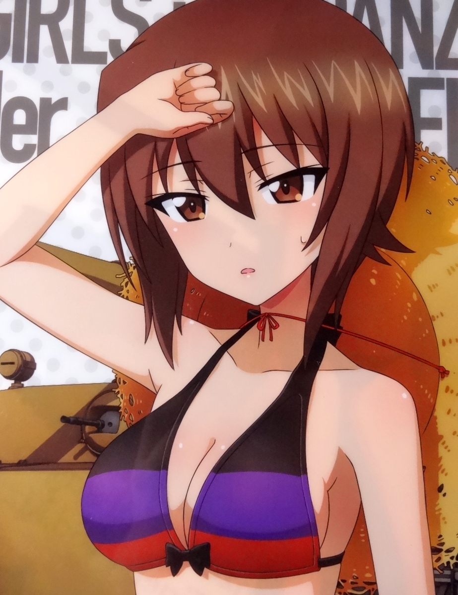 * Girls&Panzer clear file black forest . woman an educational institution west ... swimsuit VERSION 2018ga Lupin most lot *