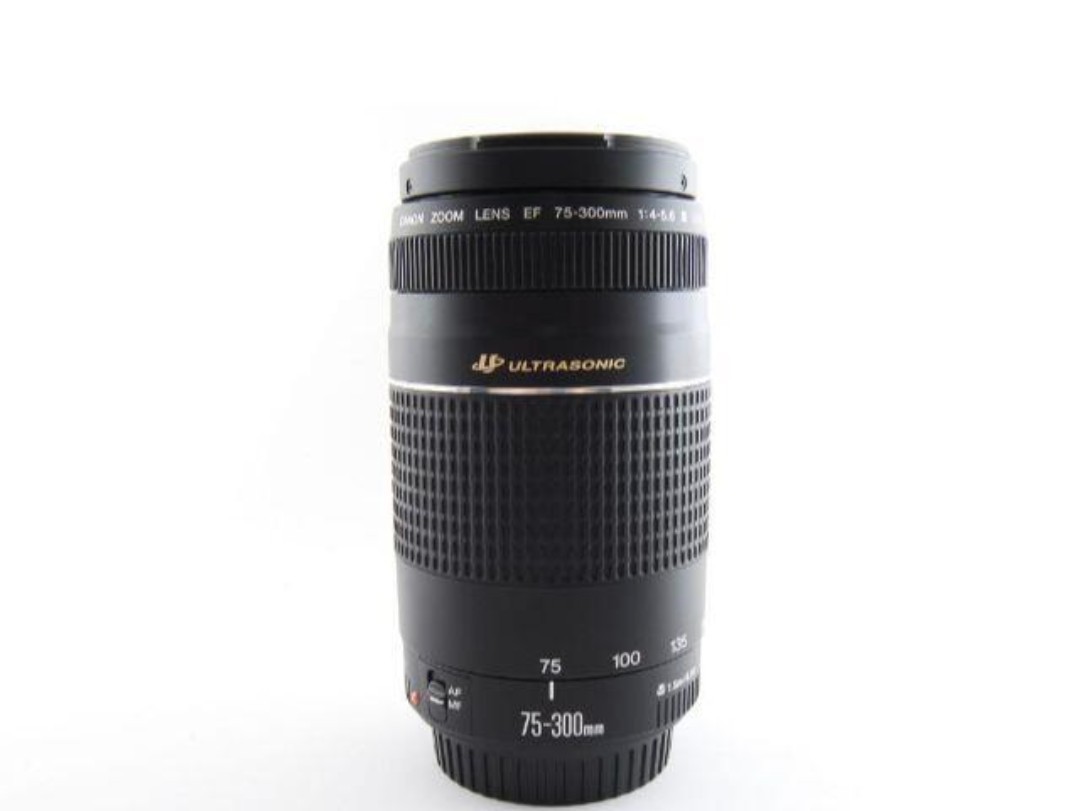 4月6日限定価格【超美品】Canon EF 75-300mm Ⅱ 超望遠レンズ www.lram