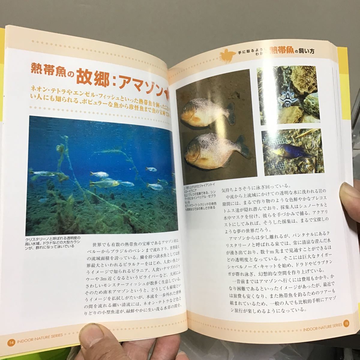 手に取るようにわかる 熱帯魚の飼い方 ハ① Pisces ピーシーズ インドアネイチャーシリーズ 9 定価1809円_画像5