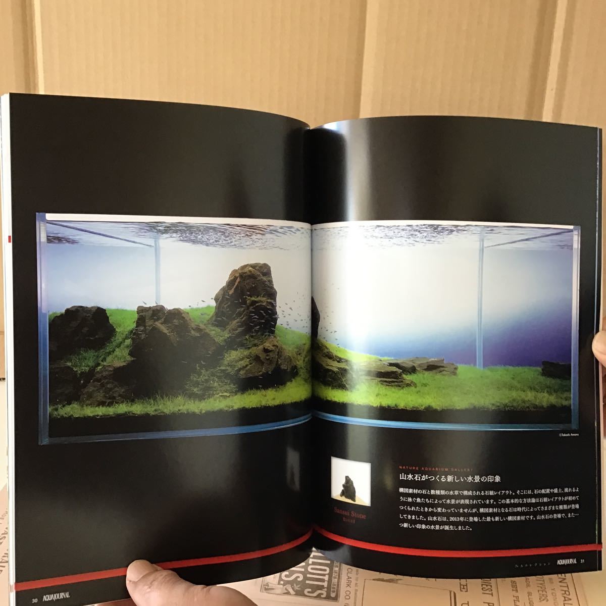 ADA アクアジャーナル ネイチャーアクアリウム 219(4) 　情報誌 AQUA JOURNAL Nature Aquarium information magajine_画像7