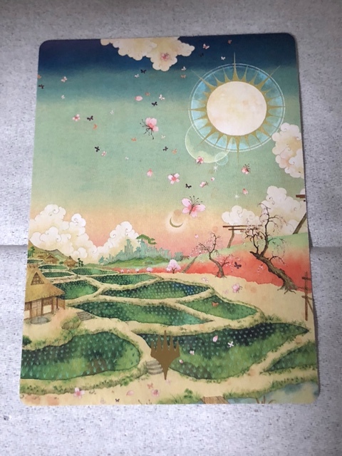 平地(79) アートカード 箔入り サイン【MTG】神河：輝ける世界 NEO 日本語JP_画像1