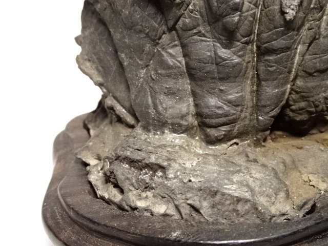 小振 古谷石 唐木台 水石 盆石 盆栽 鑑賞石 盆栽 検索 滝石 小振 古谷石 唐木台 水石 盆石 盆栽 鑑賞石 盆栽 検索 滝石