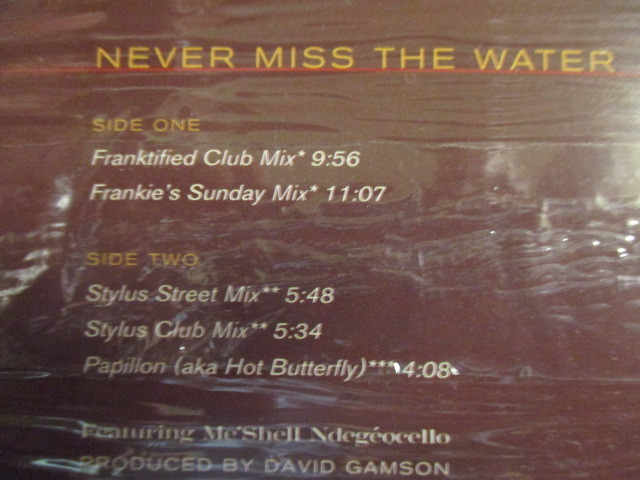 Chaka Khan ： Never Miss The Water F. Me'shell Ndegeocello (( HOUSE )) 12'' c/w Papillon( aka Hot Butterfly ) (( 落札5点で送料無料_画像3