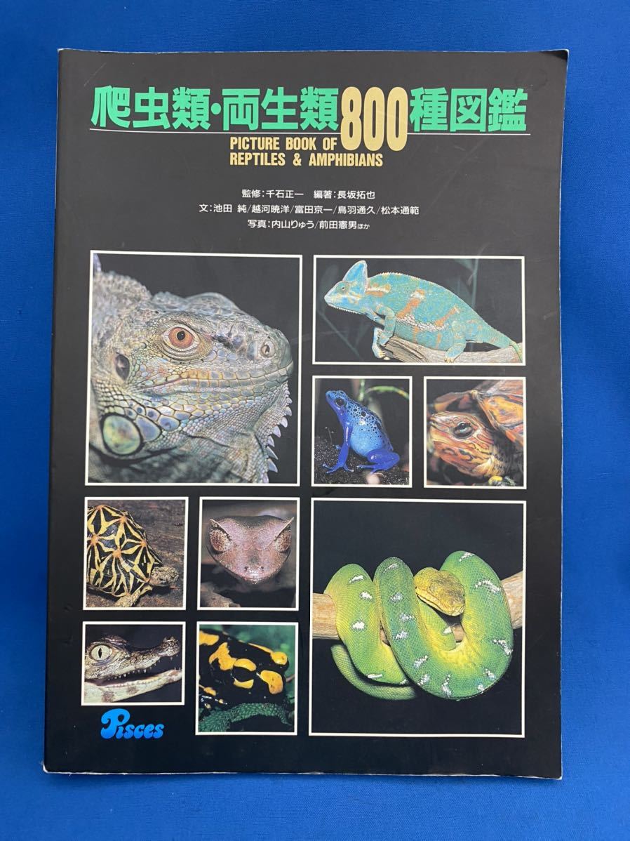 廃盤品 1999年 ピーシース 爬虫類 両生類800種図鑑 Nvgzp Nl