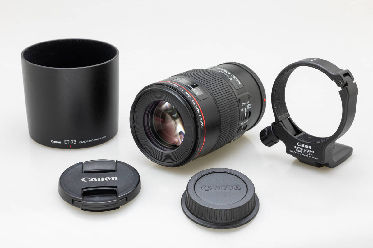 2021年新作 CANON RF100mm F2.8LMACRO IS USM agapeeurope.org