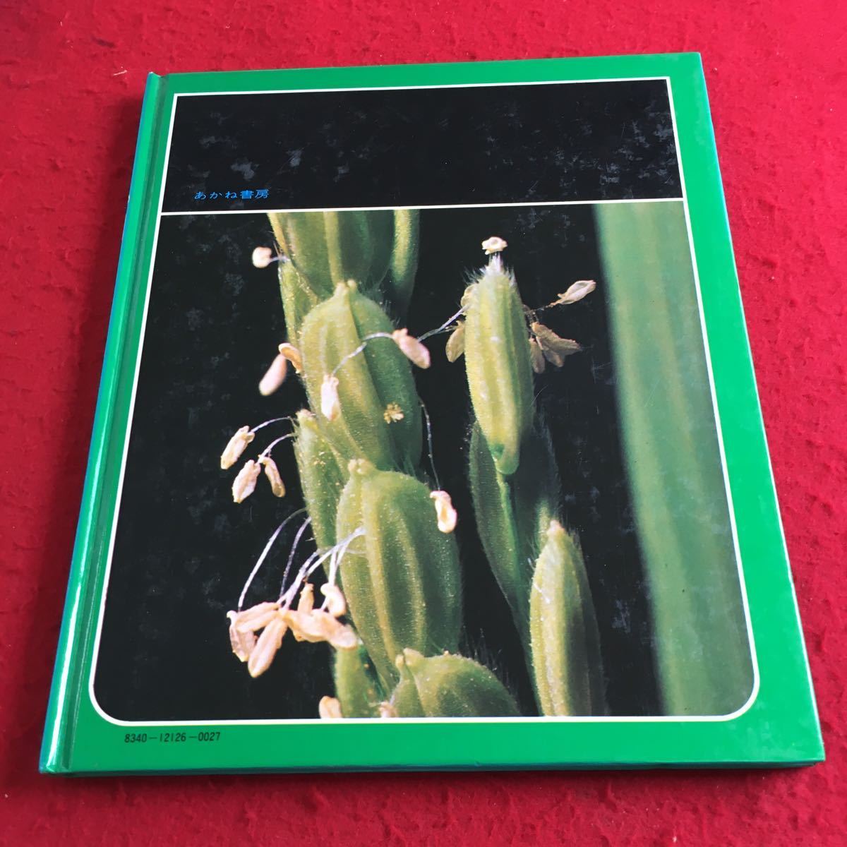 Y12-201 наука. альбом ine. один сырой . стрела .... книжный магазин 1981 год выпуск ....... сырой . заливное рисовое поле наблюдение .... болезнь . насекомое ine.mgi и т.п. 