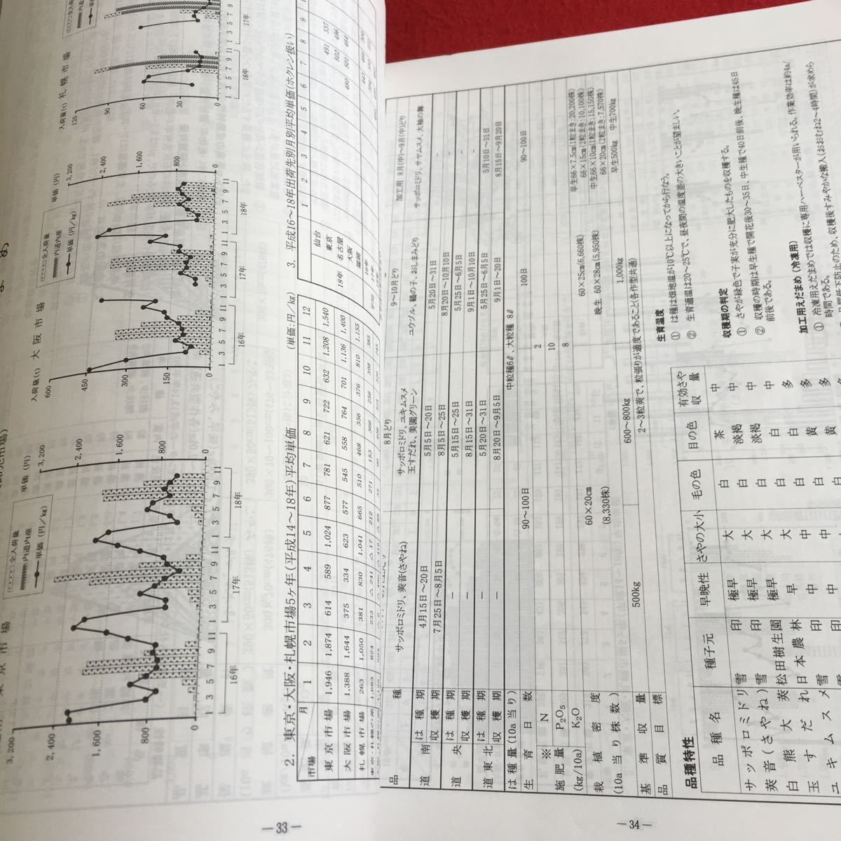 Y13-169 北海道野菜地図 その30 平成 19年発行 北海道農業協同組合中央会 ホクレン 作付面積 収穫量の推移 施設 輸入 実績 など_画像4