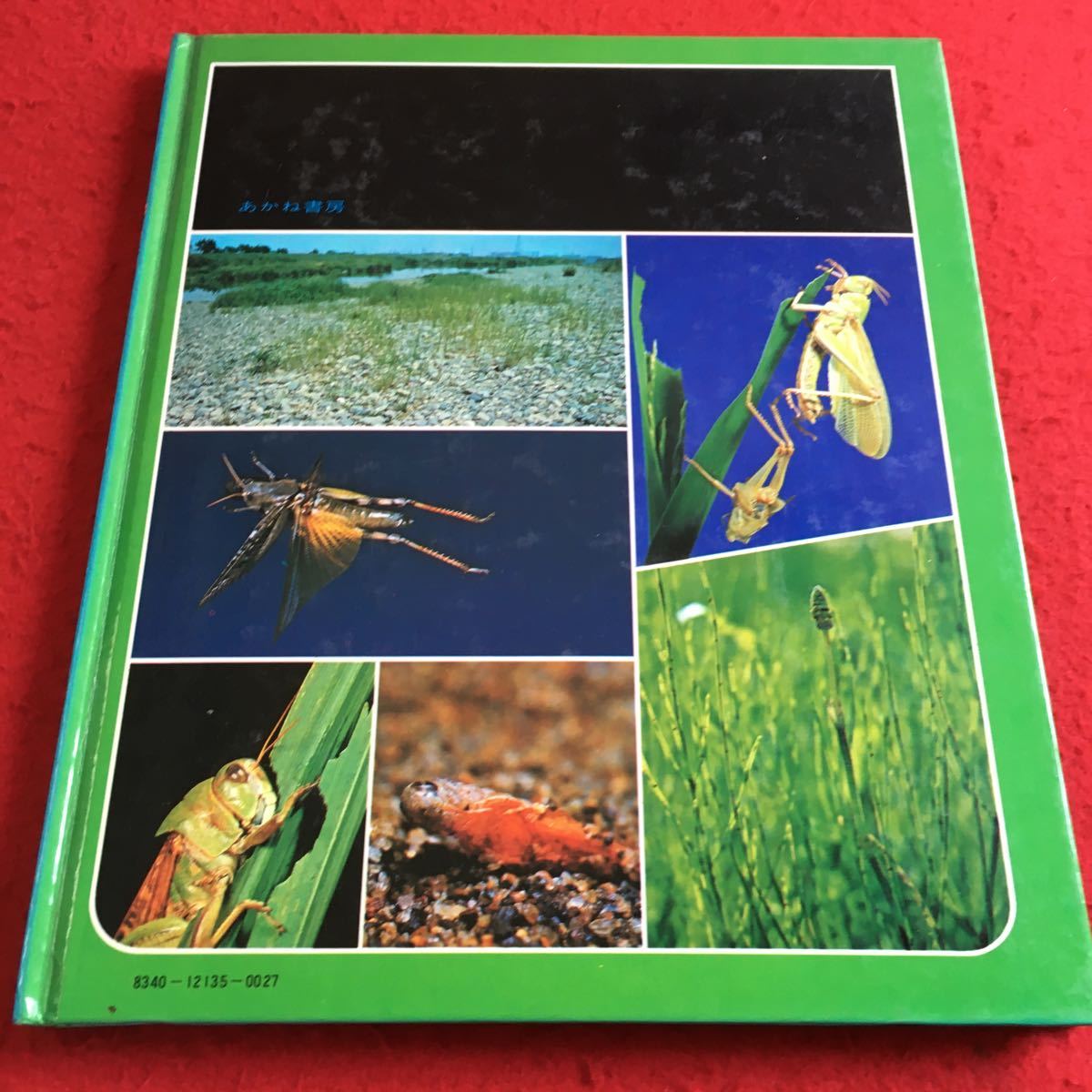 Y17-192 science. album tonneau samabata Sato have .* photograph small rice field britain .* writing ... bookstore 1981 year issue raw . company heaven . tweet insect .. world large group etc. 