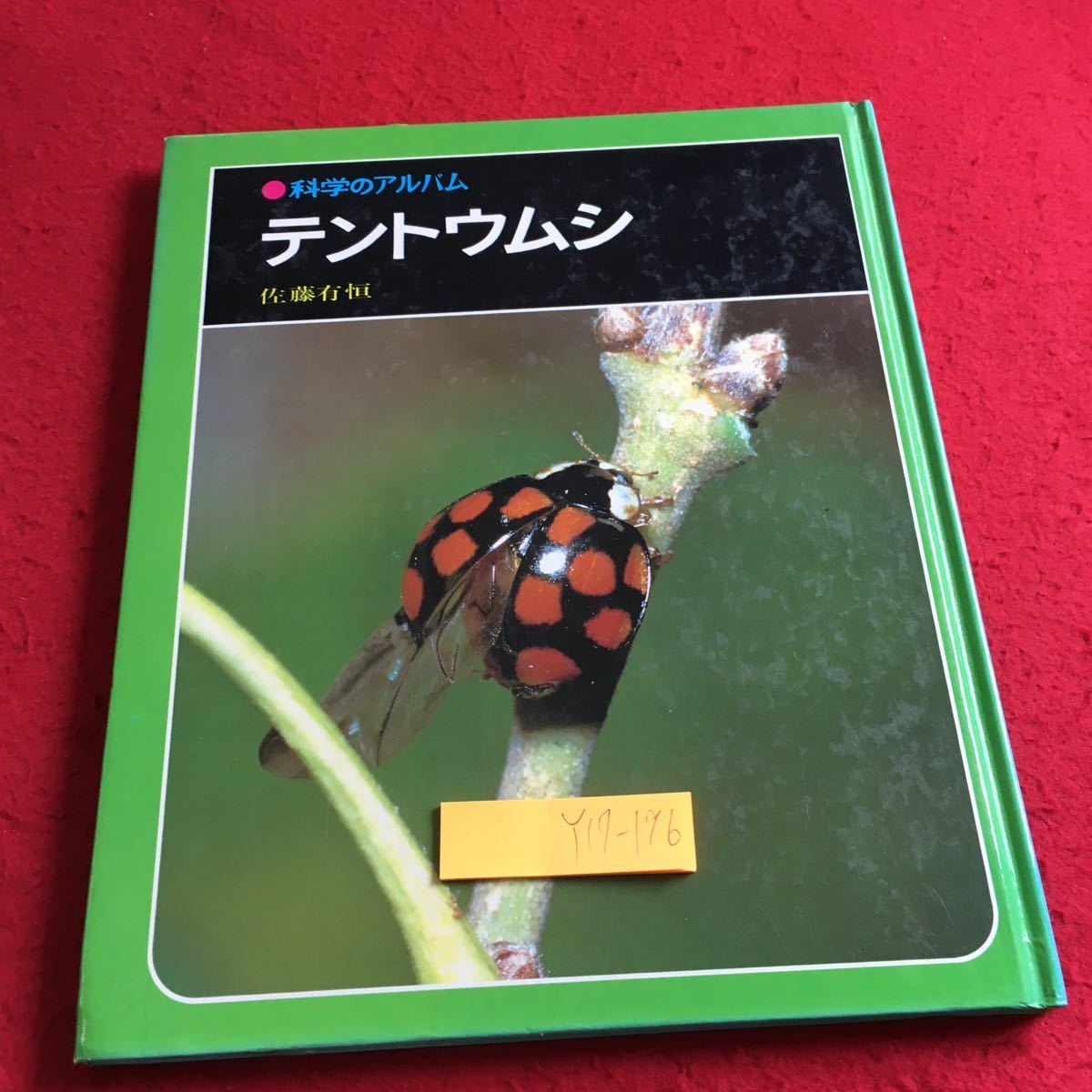 Y17-196 наука. альбом палатка umsi Sato иметь .... книжный магазин 1981 год выпуск сырой . компания . насекомое . насекомое есть maki( Abu Ram si)... и т.п. 