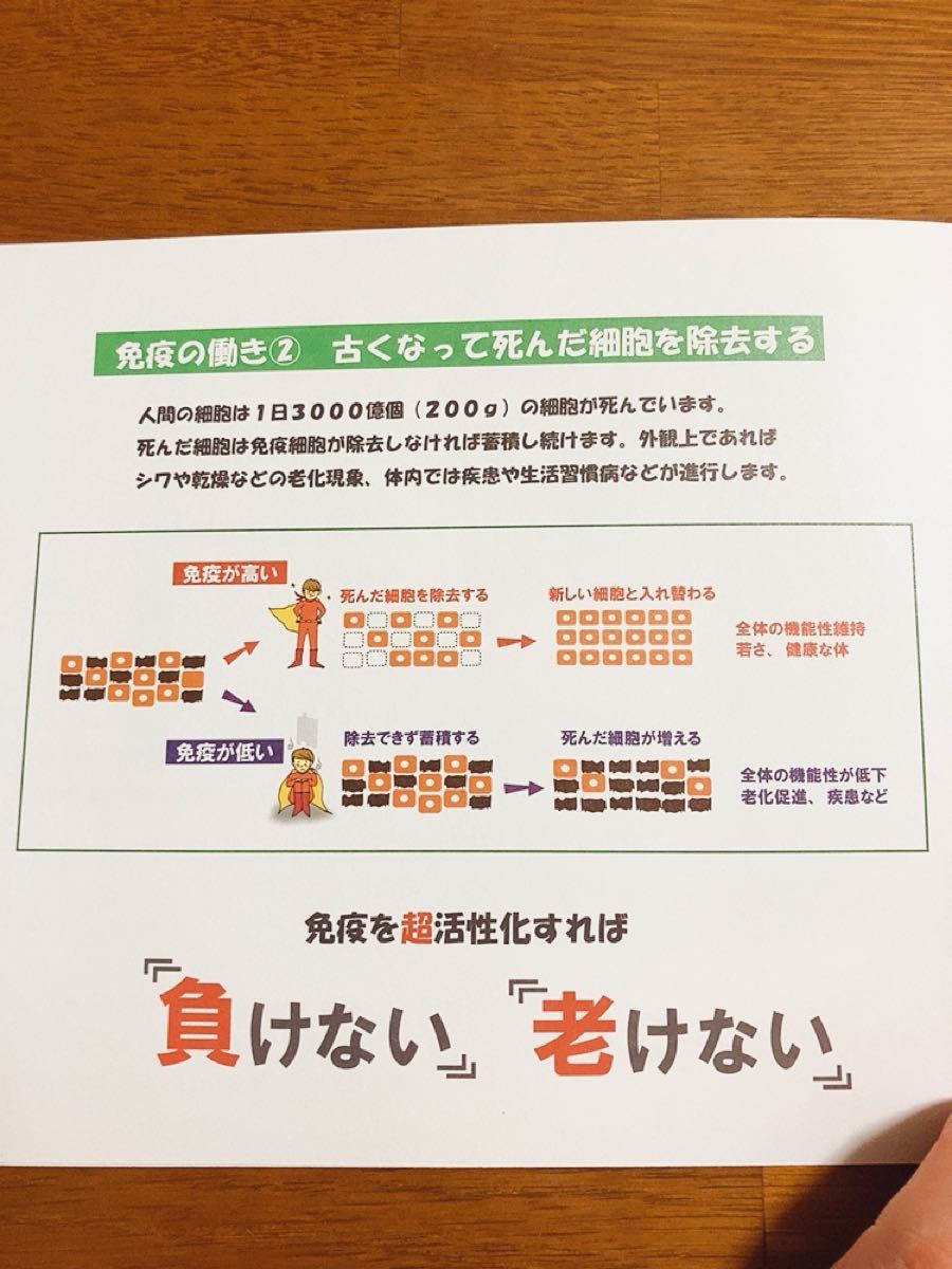 11-1 いちいちのいち　乳酸菌　正規品　カタログ付き　東京大学特許　自然治癒力　1箱 60g 2g×30包　2023.11.24