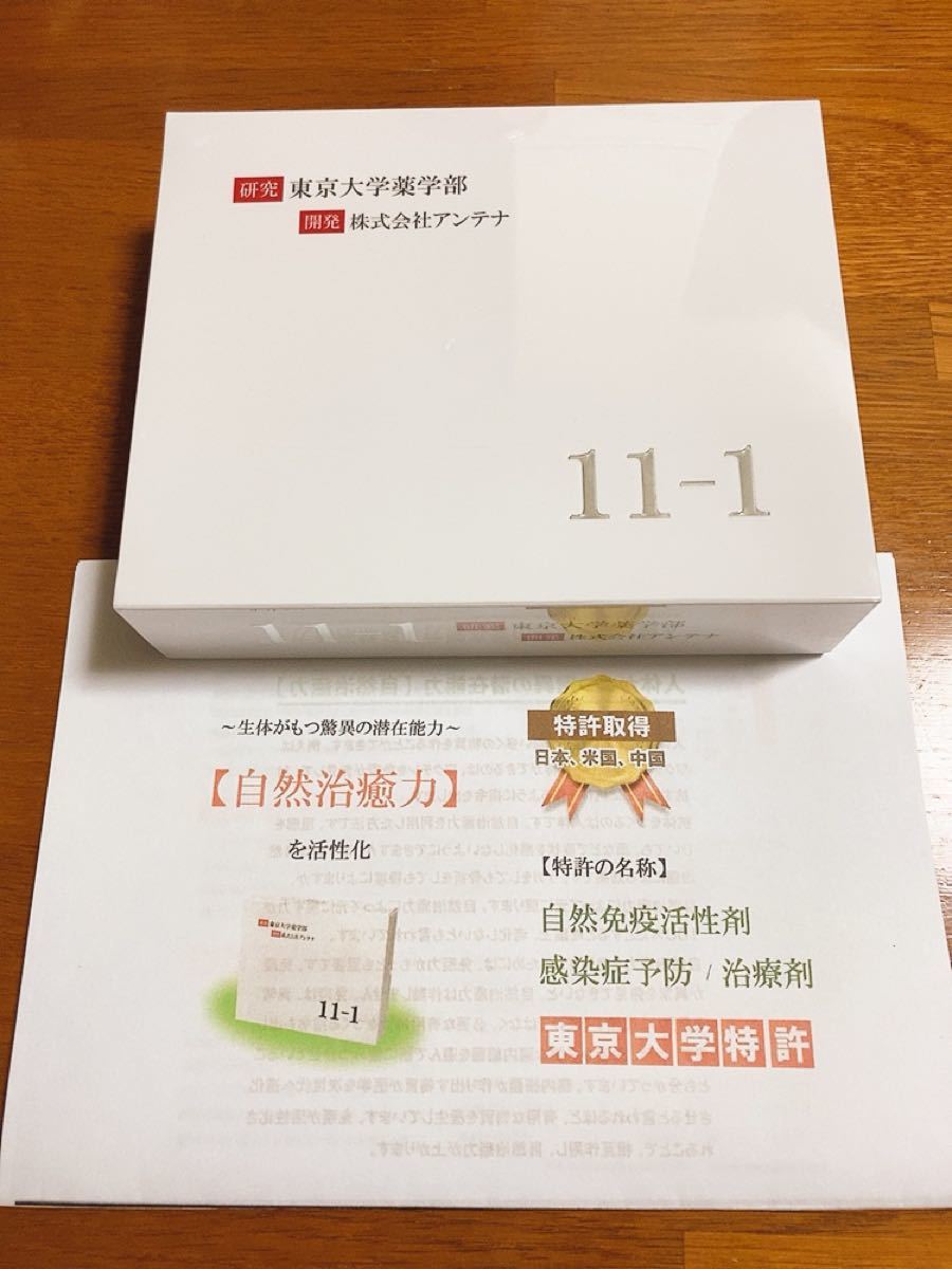 11-1 いちいちのいち 乳酸菌 正規品 カタログコピー付き 東京大学特許
