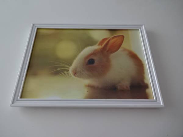 アートフレーム§写真ポスター付A4額(選択可)§うさぎ・ウサギ・動物・うさちゃん_画像1
