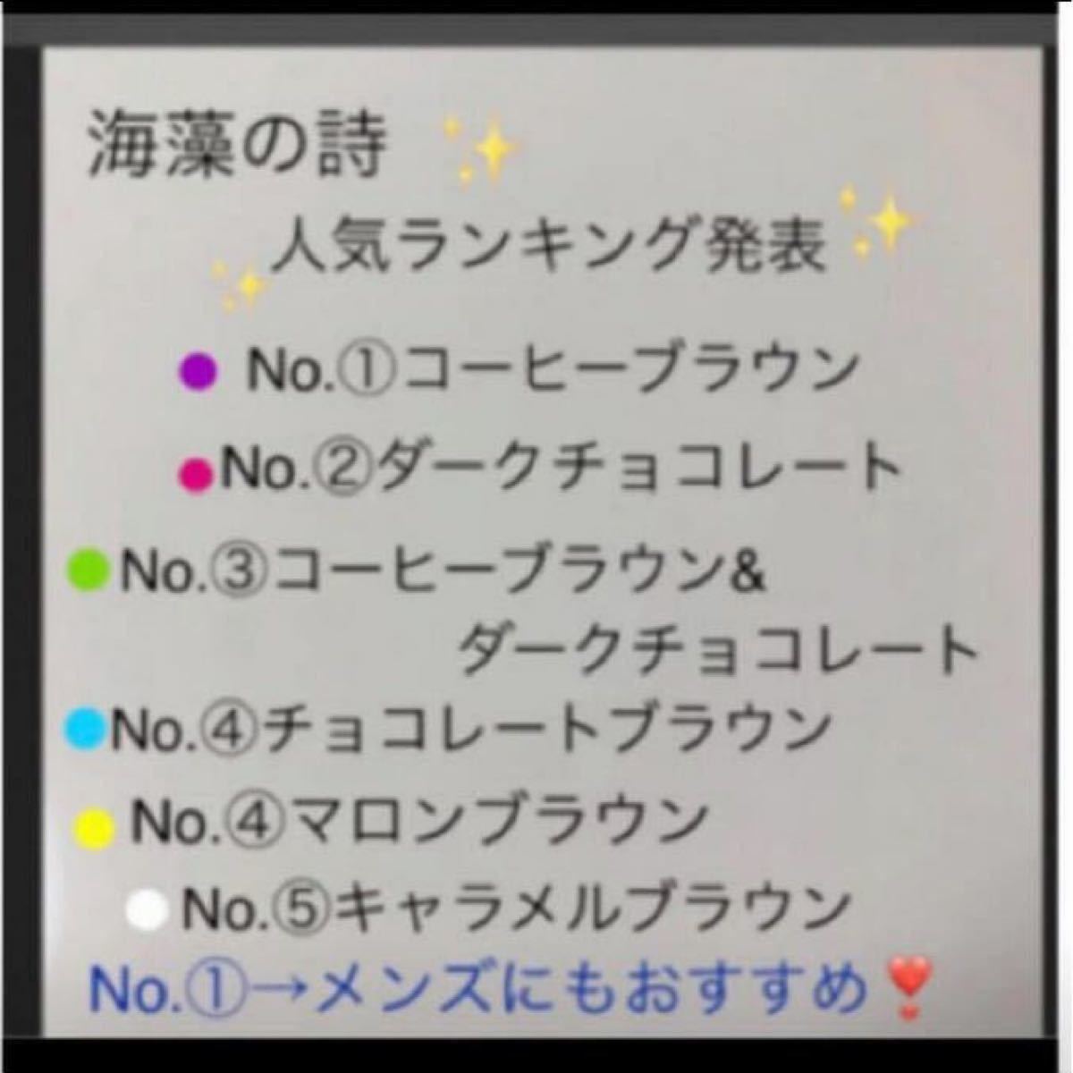 海藻の詩 チョコレートブラウン200gカラートリートメント×2 個 海藻の詩 チョコレートブラウン200gカラートリートメント×2 個