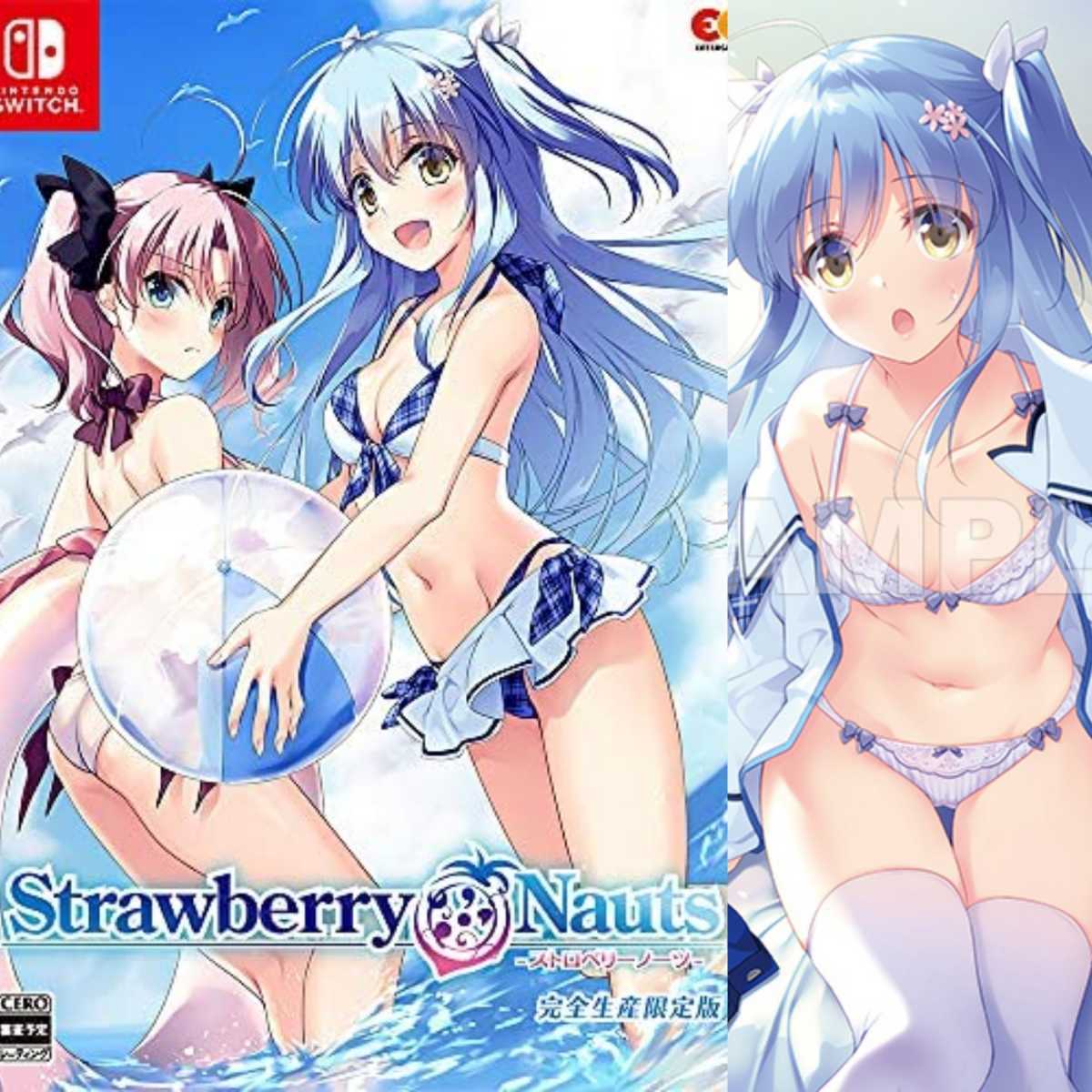 Nintendo Switch 　Strawberry Nauts -ストロベリーノーツ- 完全生産限定版　ソフマップ特典　Ｂ２タペストリー付　新品未開封