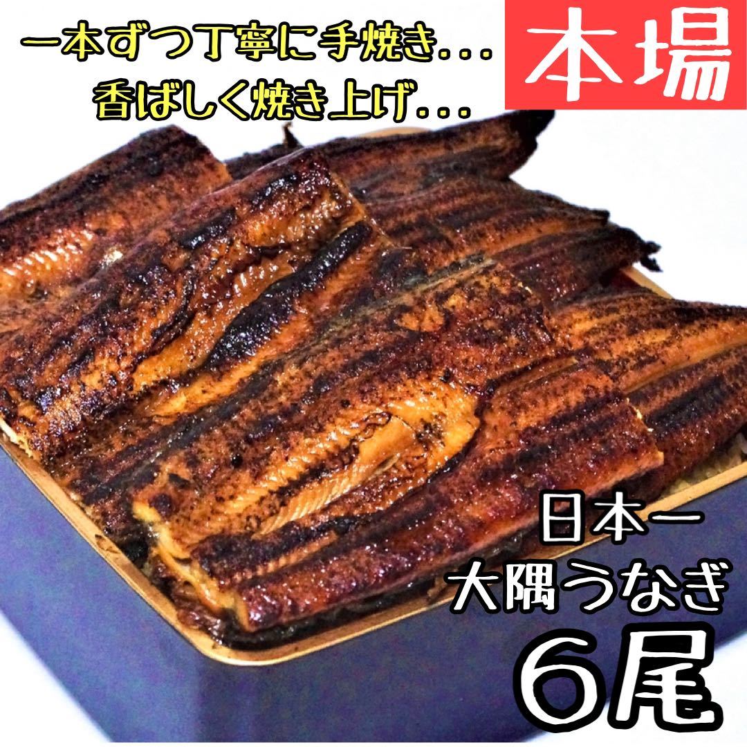 2022新作モデル 絶品 珍味 肝焼き 100g×2 おつまみ 鰻蒲焼 スルメ b