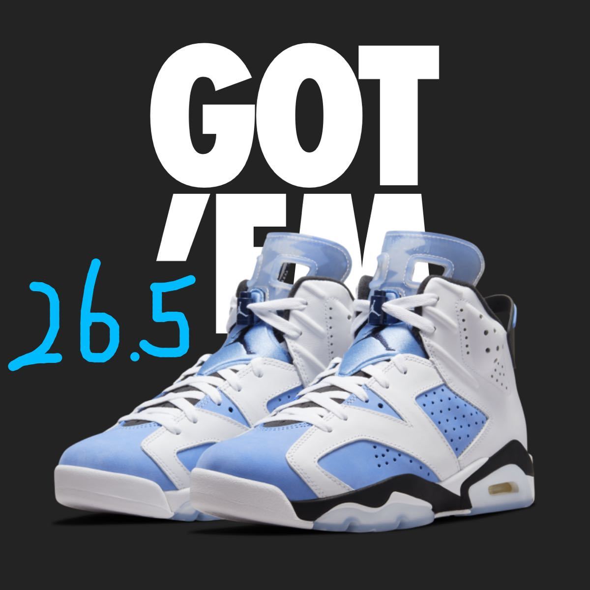 魅力の NIKE Air AIR Magnet JORDAN エアジョーダン6 NIKE UNC 6