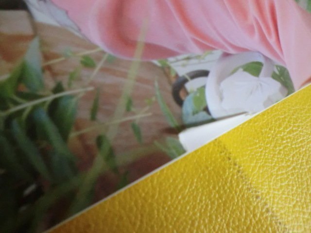 図録 まいにち薔薇いろ 田辺聖子の世界展 心ときめく作品と愛蔵の小物たち 2006年_画像4
