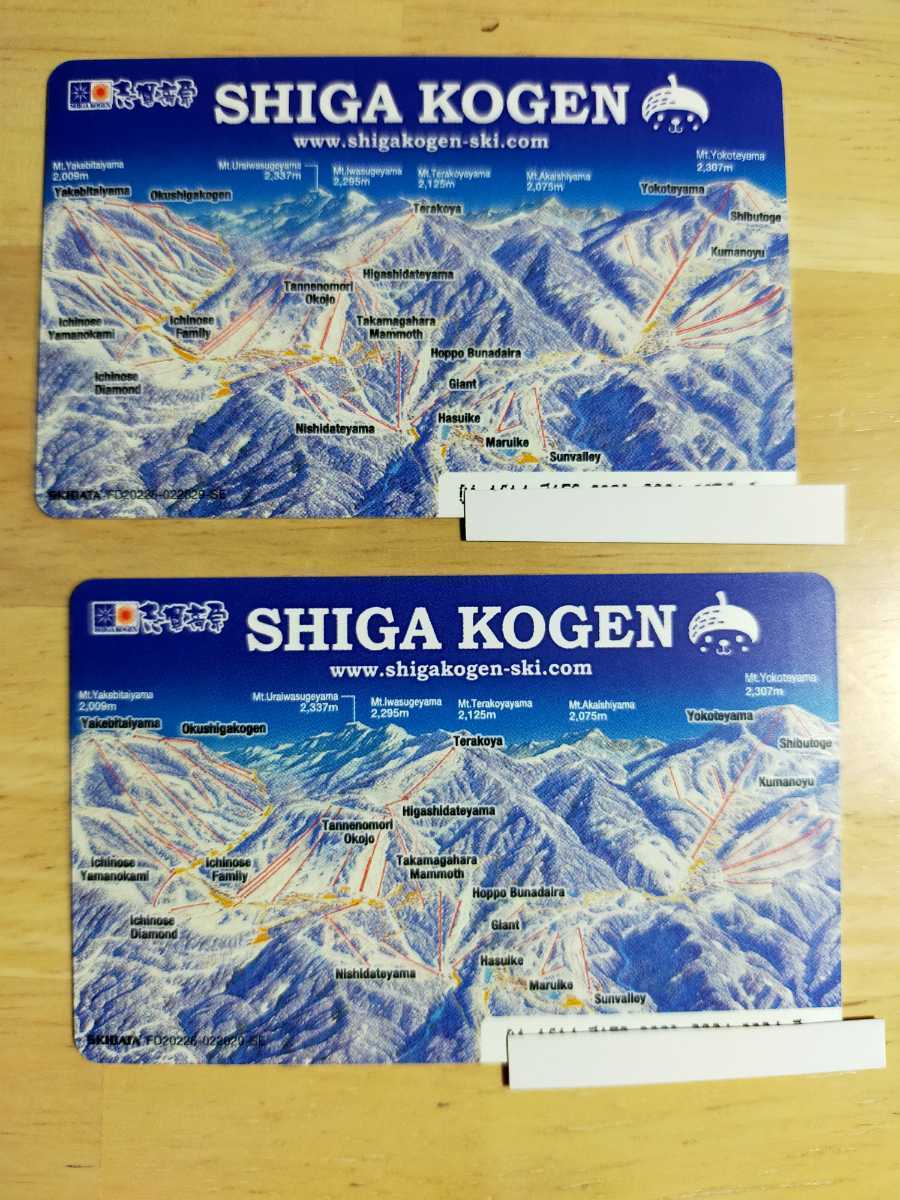 志賀高原スキー場全山共通 大人用リフト券 (6日券) １着でも送料無料