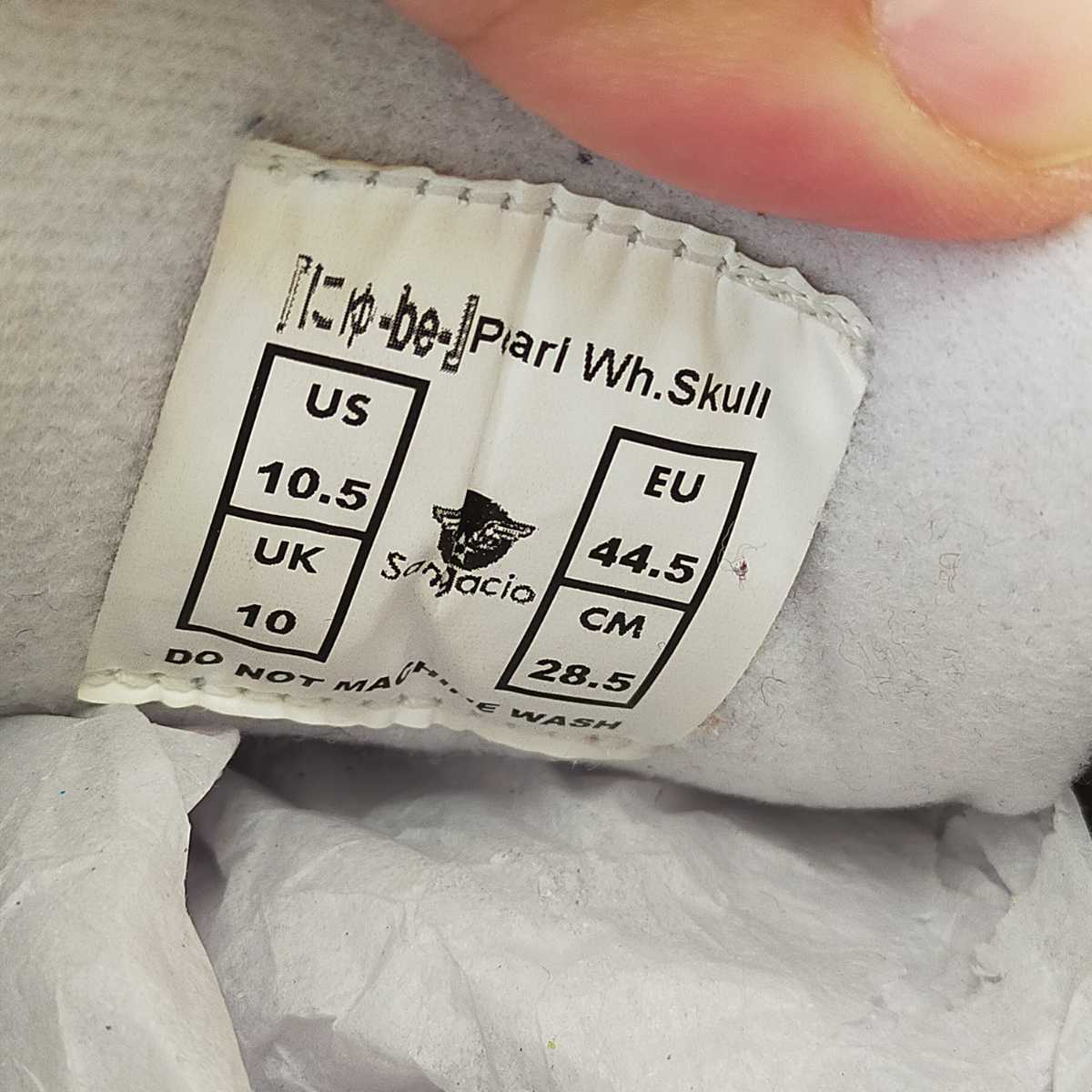 SANGACIO サンガッチョ にスカル スニーカー にゅーず にゅ SANGACIO サンガッチョ にスカル スニーカー にゅーず にゅ