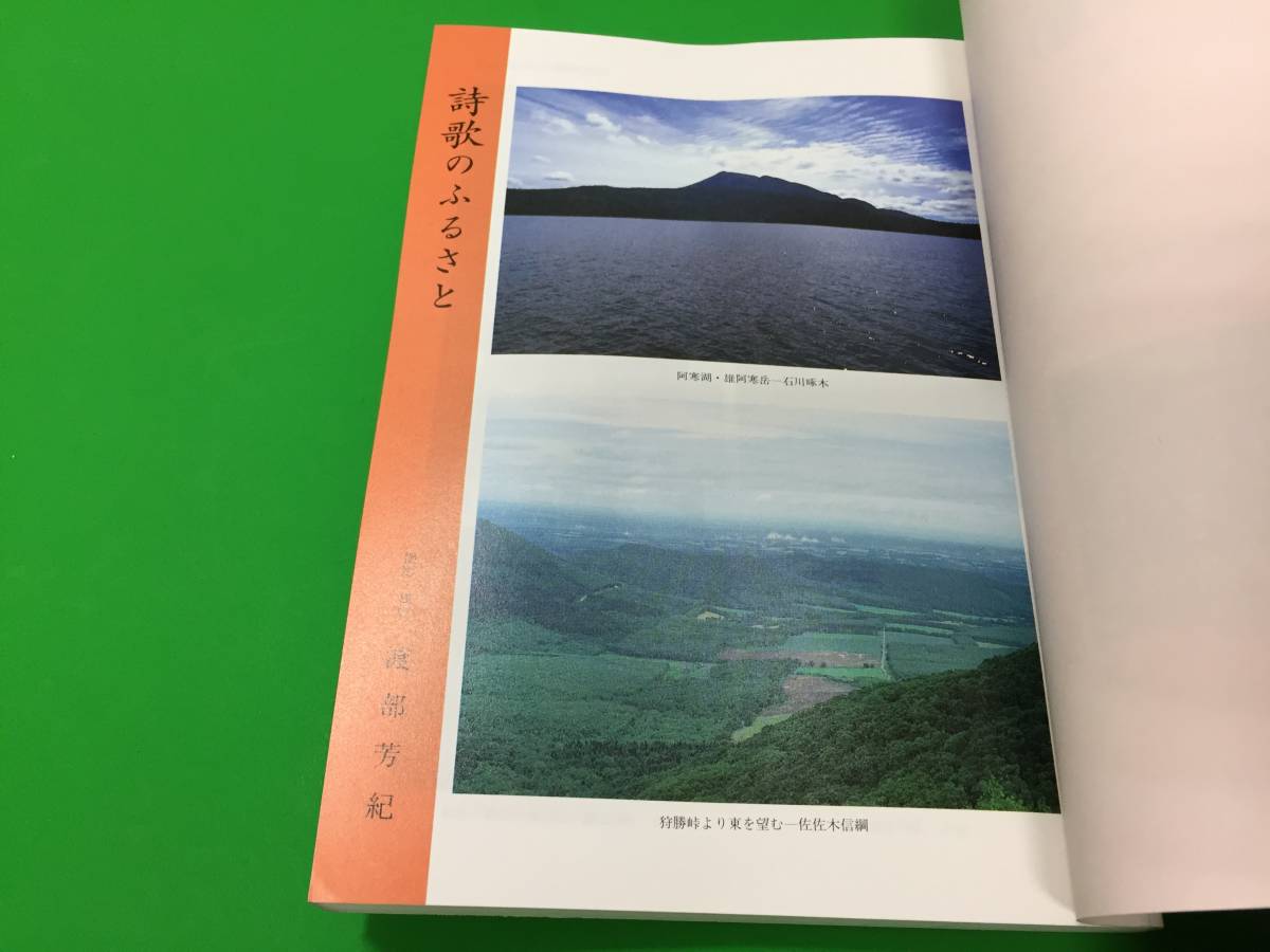 A12-27yo　【近代詩歌のふるさと・東日本篇/長谷川泉編 】国文学 解釈と鑑賞別冊/至文堂/平成4年/_画像3