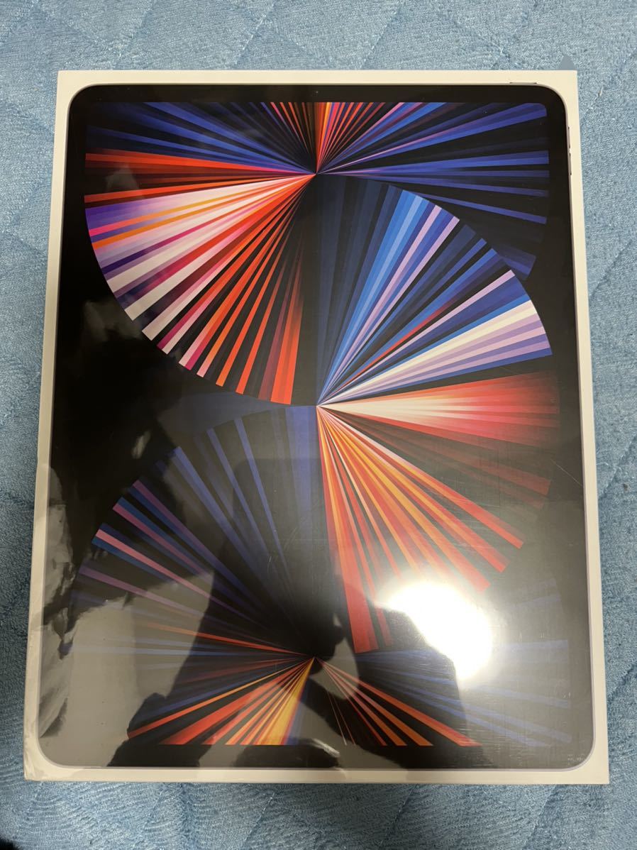 難あり格安 Apple iPad Pro 12.9インチ(第五世代) スペースグレイ