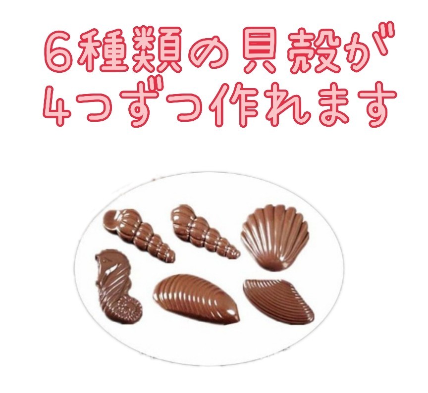 貝殻 アソート 形 型 チョコレート モールド ホワイトデー お菓子