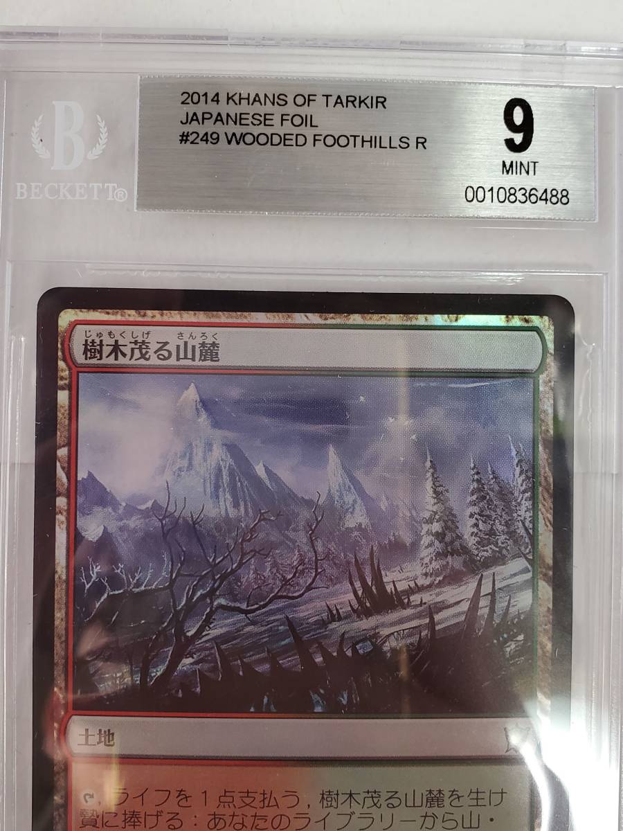 ●MTG●Foil● KTK 樹木茂る山麓(日本語 BGS 9)_画像2