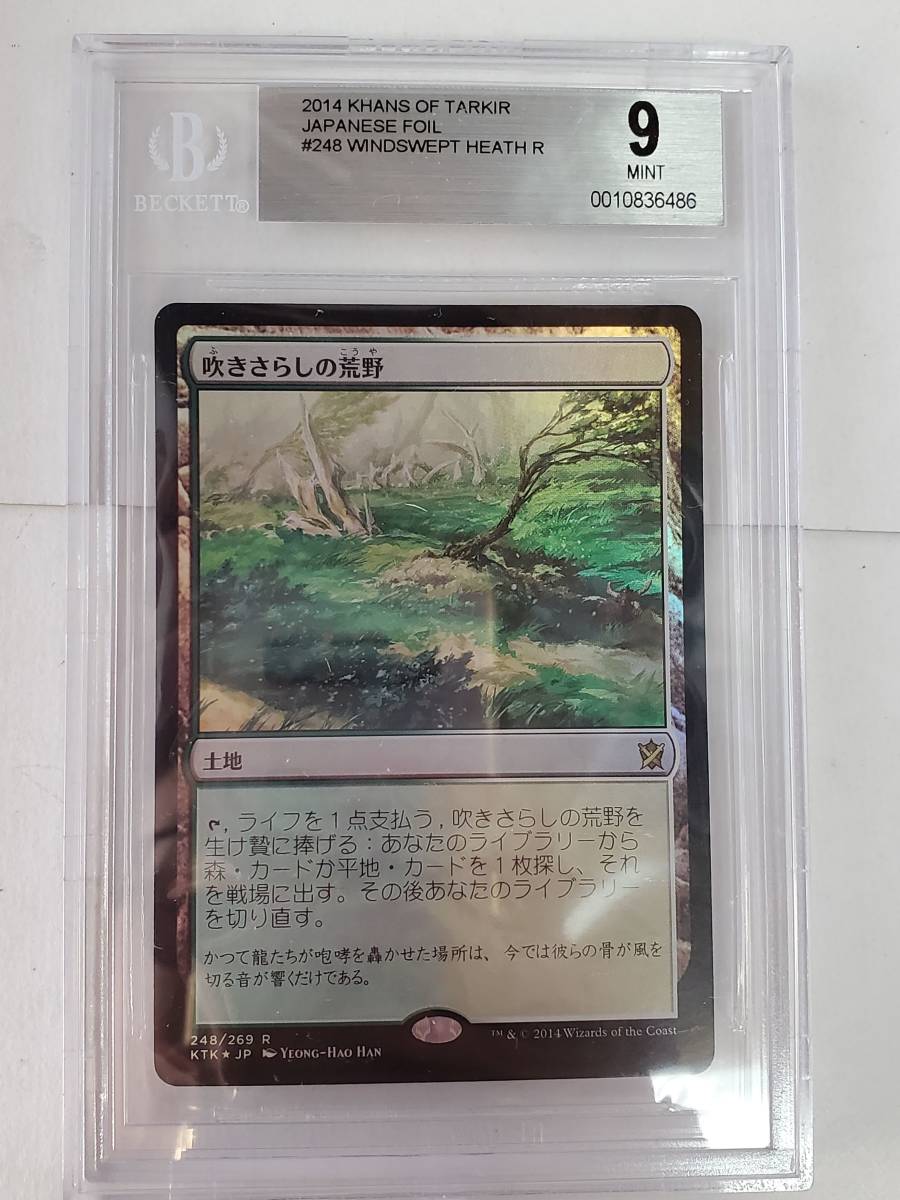 ●MTG●Foil● KTK 吹きさらしの荒野(日本語 BGS 9)