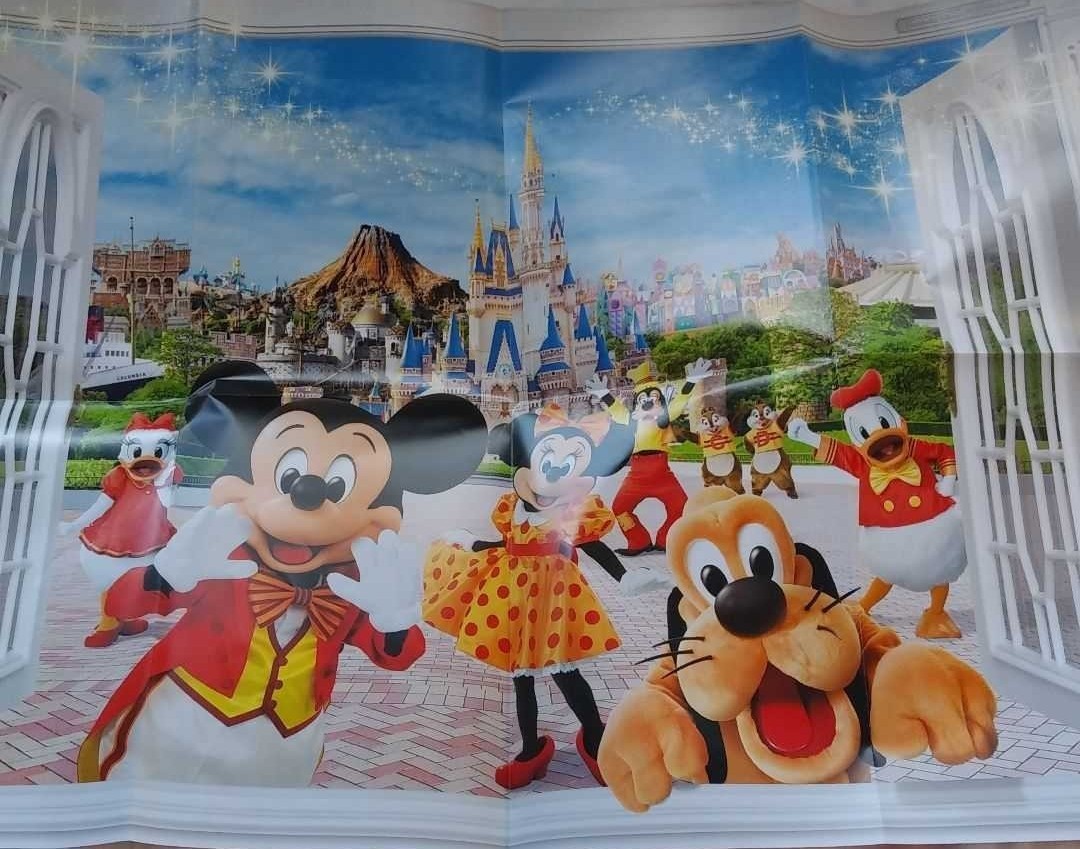 ディズニーランド ディズニーシー ミッキーミニー プルート TDL ディズニーランド ディズニーシー ミッキーミニー プルート TDL