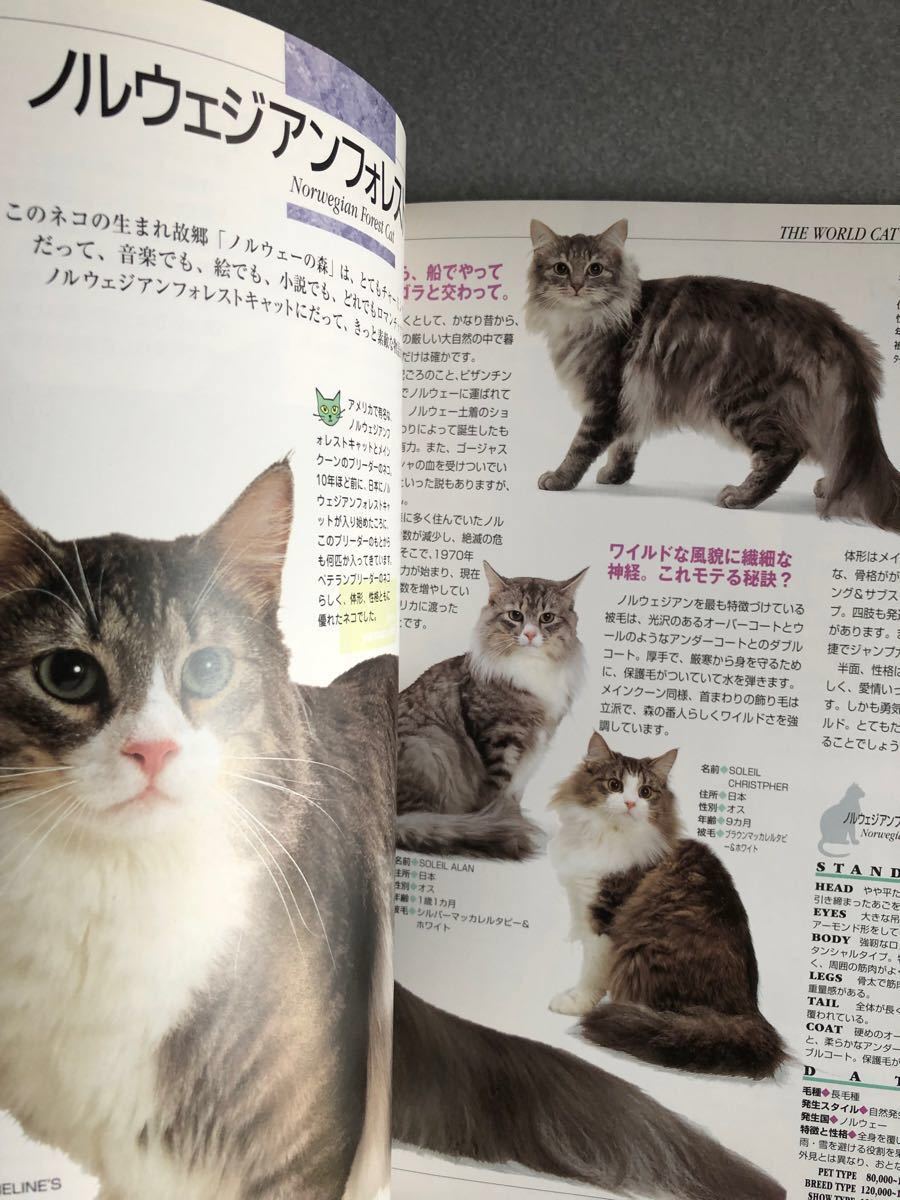 ★日本と世界の猫カタログ　2000年版　成美堂出版