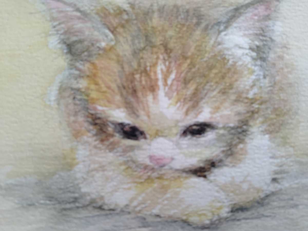 ヤフオク 子ねこイラスト 水彩画 眠りねこ インテリア B6 ヤフオク 子ねこイラスト 水彩画 眠りねこ インテリア B6