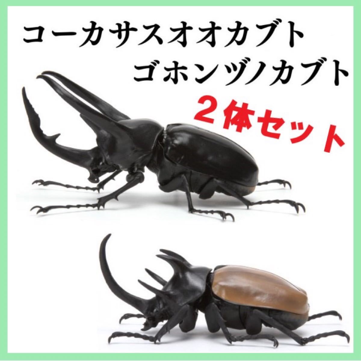 いきもの大図鑑 かぶとむし 02 コーカサスオオカブト いきもの大図鑑 かぶとむし 02 コーカサスオオカブト