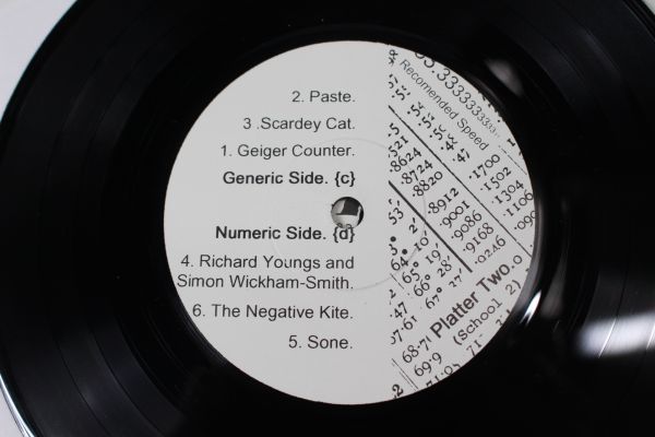 a33/7”/Various - Breaking The Plastic Hymen, Vinyl Virgins & Lo-Fi Whores. Platters One And Two._画像8